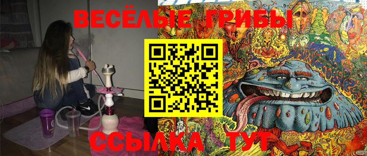 Псилоцибиновые грибы Psilocybine cubensis Артёмовский